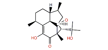 Elisapterosin C